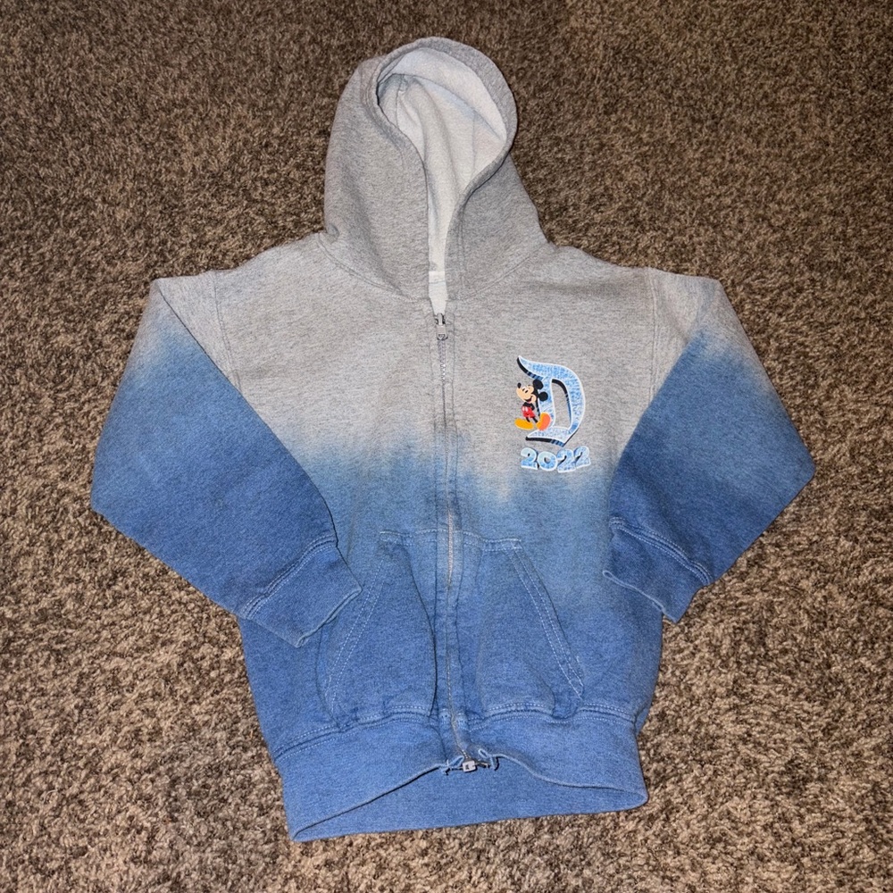 Toddler Disneyland 2022 Hoodie